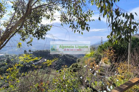 Villa a Perinaldo, Imperia, Perinaldo - € 220.000 | Ref: 1125 - foto 2