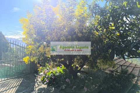 Villa a Perinaldo, Imperia, Perinaldo - € 220.000 | Ref: 1125 - foto 29