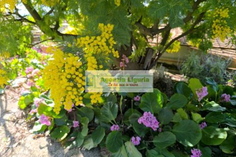 Villa a Perinaldo, Imperia, Perinaldo - € 220.000 | Ref: 1125 - foto 30