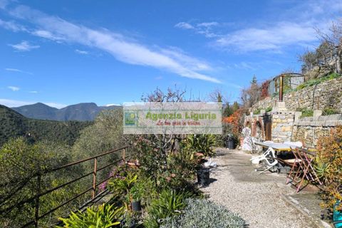 Villa a Perinaldo, Imperia, Perinaldo - € 220.000 | Ref: 1125 - foto 32