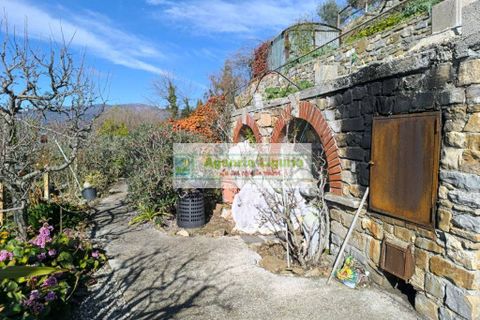 Villa a Perinaldo, Imperia, Perinaldo - € 220.000 | Ref: 1125 - foto 34