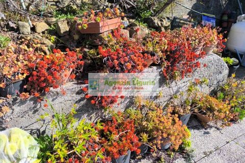 Villa a Perinaldo, Imperia, Perinaldo - € 220.000 | Ref: 1125 - foto 36