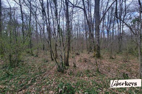 Helårsgrund i Bouloc, Haute-Garonne, Bouloc - € 7.000 | Ref: DOM29362 - foto 2