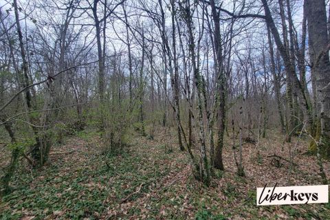 Helårsgrund i Bouloc, Haute-Garonne, Bouloc - € 7.000 | Ref: DOM29362 - foto 3