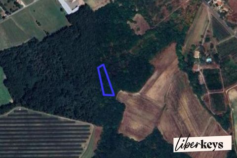 Helårsgrund i Bouloc, Haute-Garonne, Bouloc - € 7.000 | Ref: DOM29362 - foto 4