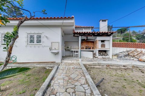 Villa i Sintra, Lisbon, Sintra - € 870.000 | Ref: C0222-06875 - foto 45