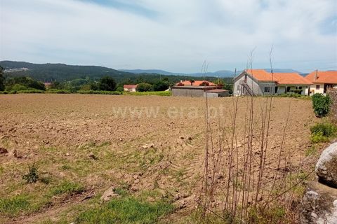 Byhus i Esposende, Braga, Esposende - € 325.000 | Ref: 254250190 - foto 12