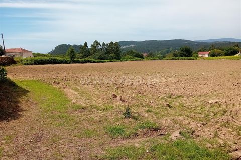 Byhus i Esposende, Braga, Esposende - € 325.000 | Ref: 254250190 - foto 13