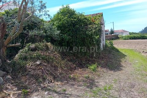 Byhus i Esposende, Braga, Esposende - € 325.000 | Ref: 254250190 - foto 14