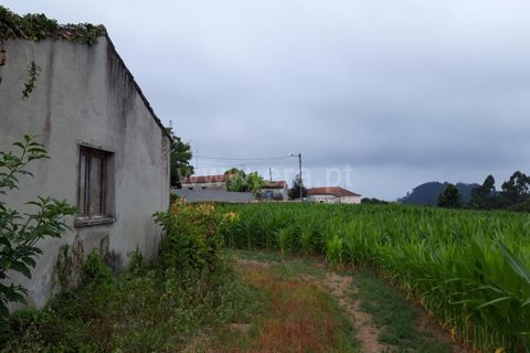 Byhus i Esposende, Braga, Esposende - € 325.000 | Ref: 254250190 - foto 18