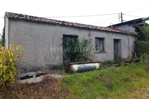 Byhus i Esposende, Braga, Esposende - € 325.000 | Ref: 254250190 - foto 19
