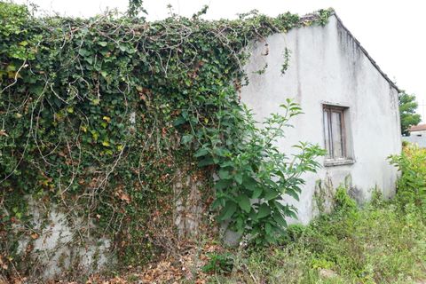 Byhus i Esposende, Braga, Esposende - € 325.000 | Ref: 254250190 - foto 21