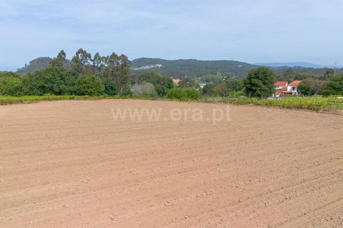 Byhus i Esposende, Braga, Esposende - € 325.000 | Ref: 254250190 - foto 5