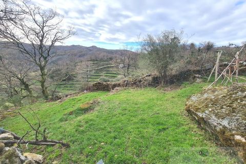 Helårsgrund i Arcos de Valdevez, Viana do Castelo, Arcos de Valdevez - € 14.250 | Ref: 7196-1 - foto 6