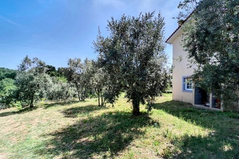Villa i Oliveira do Conde, Viseu, Oliveira do Conde - € 300.000 | Ref: SALI0280 - foto 29
