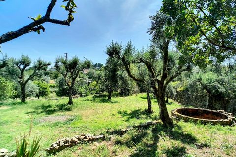 Villa i Oliveira do Conde, Viseu, Oliveira do Conde - € 300.000 | Ref: SALI0280 - foto 26