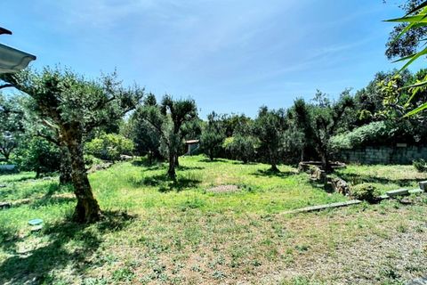 Villa i Oliveira do Conde, Viseu, Oliveira do Conde - € 300.000 | Ref: SALI0280 - foto 32