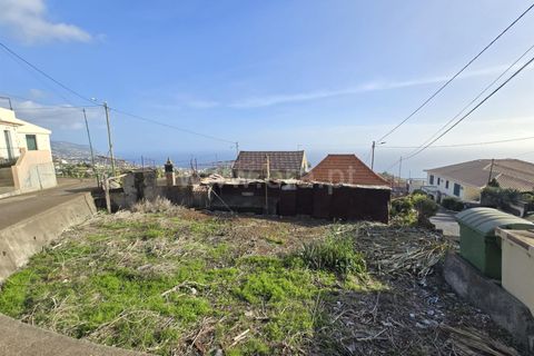 Villa i Ponta do Sol, Madeira, Ponta do Sol - € 350.000 | Ref: 081260052 - foto 8