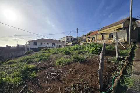 Villa i Ponta do Sol, Madeira, Ponta do Sol - € 350.000 | Ref: 081260052 - foto 9