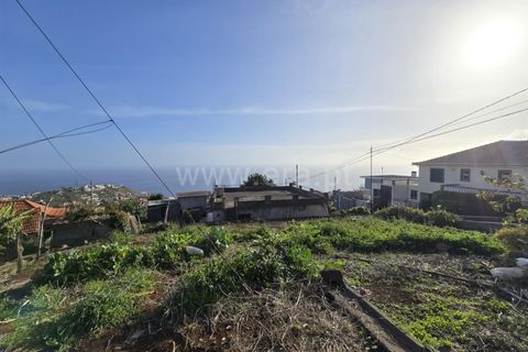 Villa i Ponta do Sol, Madeira, Ponta do Sol - € 350.000 | Ref: 081260052 - foto 10