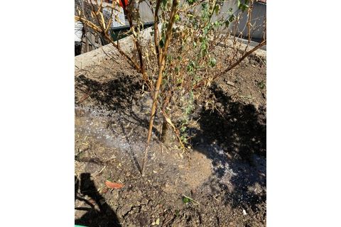 Erhvervsejendom i Camarate, Lisbon, Camarate - € 149.000 | Ref: PT2026-2098 - foto 22