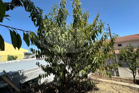 Erhvervsejendom i Camarate, Lisbon, Camarate - € 149.000 | Ref: PT2026-2098 - foto 19