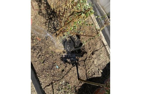 Erhvervsejendom i Camarate, Lisbon, Camarate - € 149.000 | Ref: PT2026-2098 - foto 25