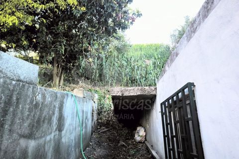 Erhvervsejendom i Camarate, Lisbon, Camarate - € 149.000 | Ref: PT2026-2098 - foto 14