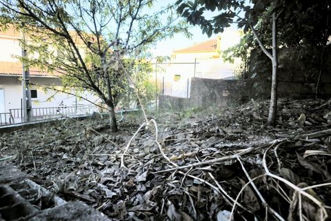 Erhvervsejendom i Camarate, Lisbon, Camarate - € 149.000 | Ref: PT2026-2098 - foto 29