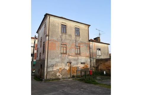 Landejendom i Barro, Aveiro, Barro - € 135.000 | Ref: SAFTI:008009 - foto 3