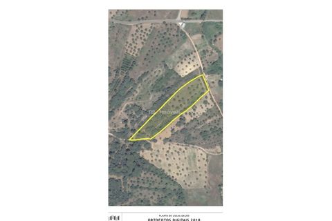 Terra a Assentiz, Santarem, Assentiz - € 18.100 | Ref: 01919-26 - foto 2