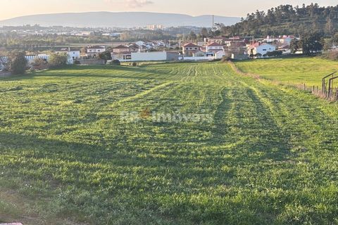 Farm i Riachos, Santarem, Riachos - € 435.000 | Ref: 01922-26 - foto 3