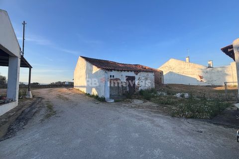 Farm i Riachos, Santarem, Riachos - € 435.000 | Ref: 01922-26 - foto 4