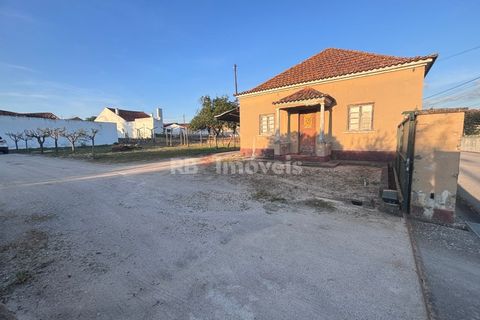 Farm i Riachos, Santarem, Riachos - € 435.000 | Ref: 01922-26 - foto 5