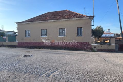 Farm i Riachos, Santarem, Riachos - € 435.000 | Ref: 01922-26 - foto 6