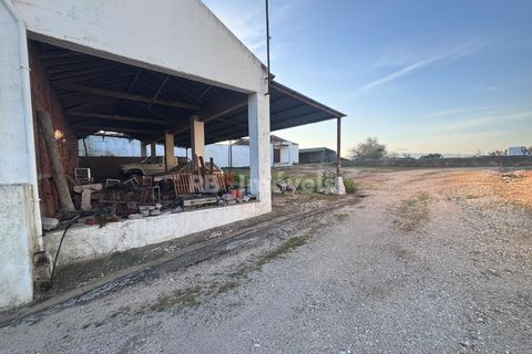 Farm i Riachos, Santarem, Riachos - € 435.000 | Ref: 01922-26 - foto 9