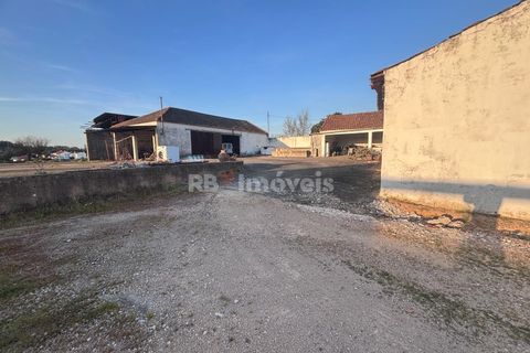Farm i Riachos, Santarem, Riachos - € 435.000 | Ref: 01922-26 - foto 10