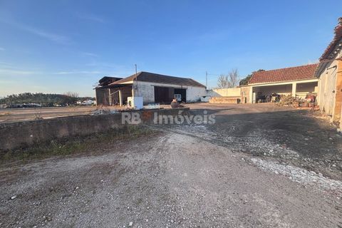 Farm i Riachos, Santarem, Riachos - € 435.000 | Ref: 01922-26 - foto 11