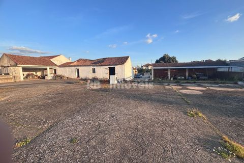 Farm i Riachos, Santarem, Riachos - € 435.000 | Ref: 01922-26 - foto 12