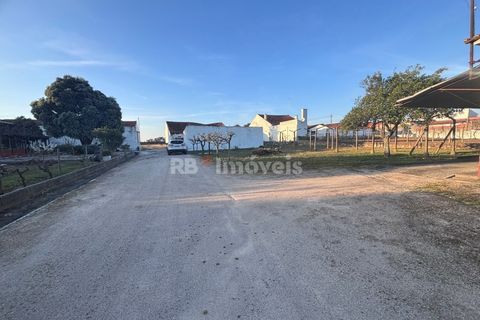 Farm i Riachos, Santarem, Riachos - € 435.000 | Ref: 01922-26 - foto 14