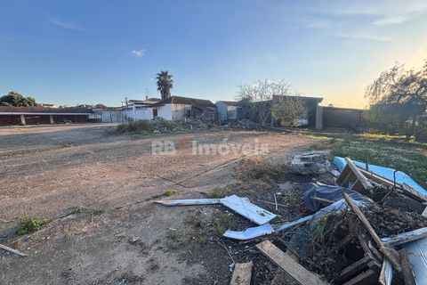 Farm i Riachos, Santarem, Riachos - € 435.000 | Ref: 01922-26 - foto 15
