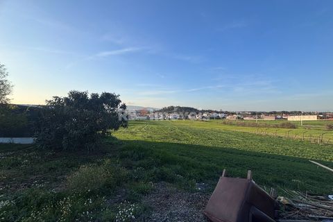 Farm i Riachos, Santarem, Riachos - € 435.000 | Ref: 01922-26 - foto 16
