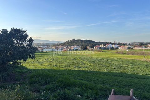 Farm i Riachos, Santarem, Riachos - € 435.000 | Ref: 01922-26 - foto 17