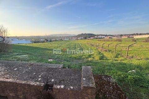 Farm i Riachos, Santarem, Riachos - € 435.000 | Ref: 01922-26 - foto 18