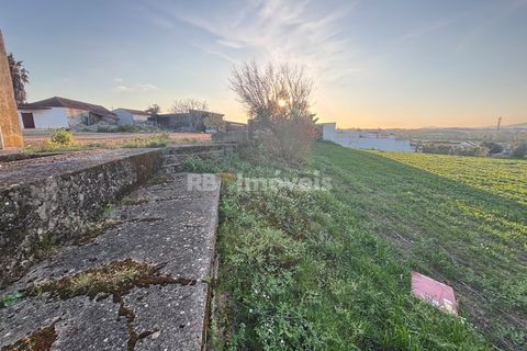 Farm i Riachos, Santarem, Riachos - € 435.000 | Ref: 01922-26 - foto 19