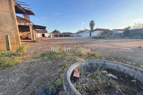 Farm i Riachos, Santarem, Riachos - € 435.000 | Ref: 01922-26 - foto 20