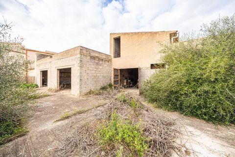 Terra a Campos, Mallorca, Campos - € 249.000 | Ref: 04SBAP381RJ/3010 - foto 8