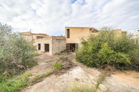 Terra a Campos, Mallorca, Campos - € 249.000 | Ref: 04SBAP381RJ/3010 - foto 9