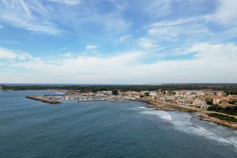 Terra a Campos, Mallorca, Campos - € 169.000 | Ref: 04SBAP382RJ/3010 - foto 10