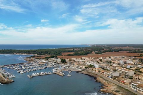 Terra a Campos, Mallorca, Campos - € 169.000 | Ref: 04SBAP382RJ/3010 - foto 11